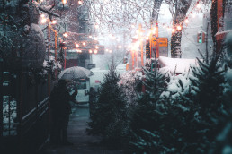 Holiday season outdoor scene